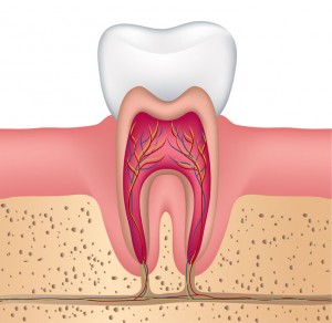 Healthy Gums Image