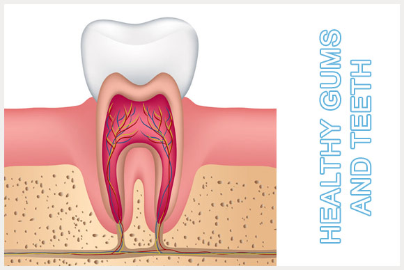 Healthy Gums Images